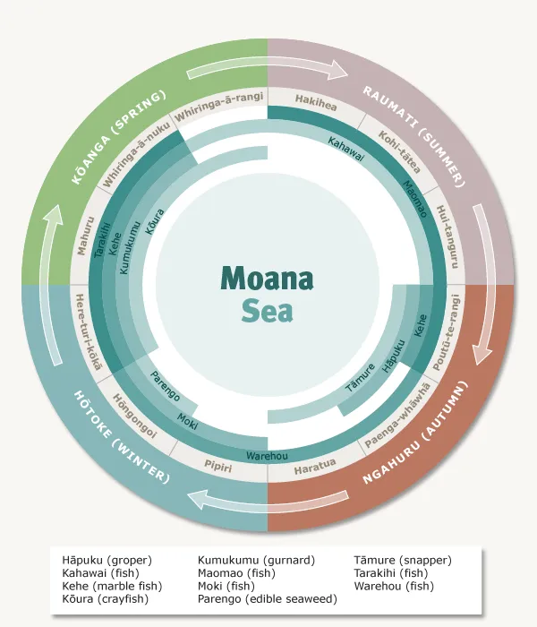 Harvest diagrams from https://teara.govt.nz/en/interactive/40552/harvest-seasons-diagram
