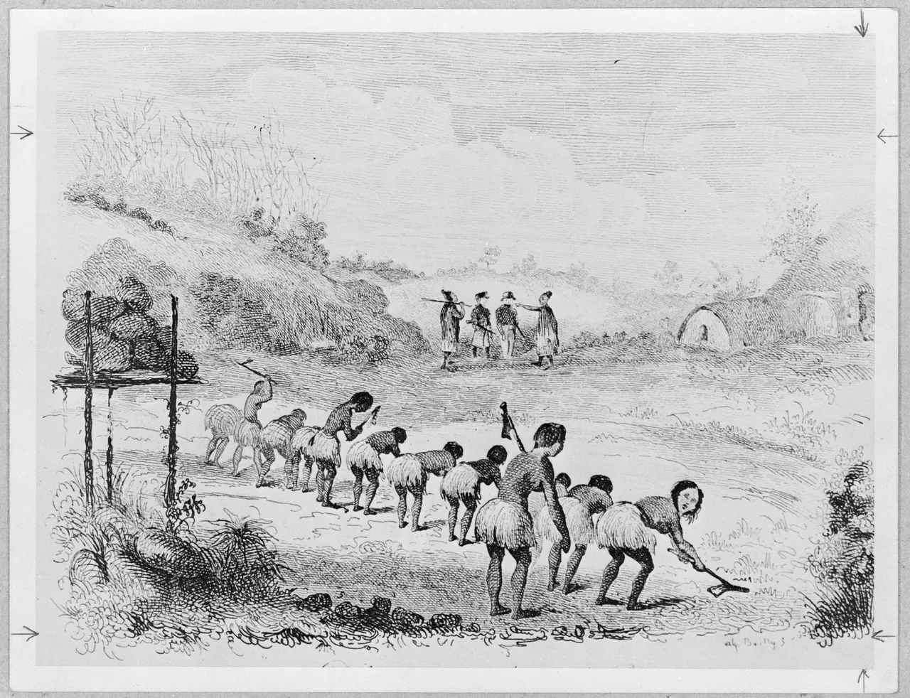 Louis Auguste de Sainson, Défrichement d'un champ de patates (clearing a potato field), engraved by Boilly, from d'Urville's 1827 voyage. Alexander Turnbull Library, PUBL-0034-2-387.