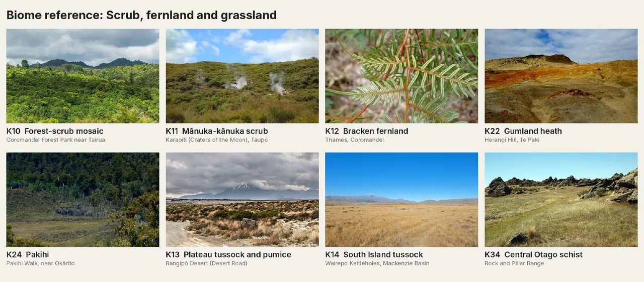 Scrub, fernland and grassland kits.