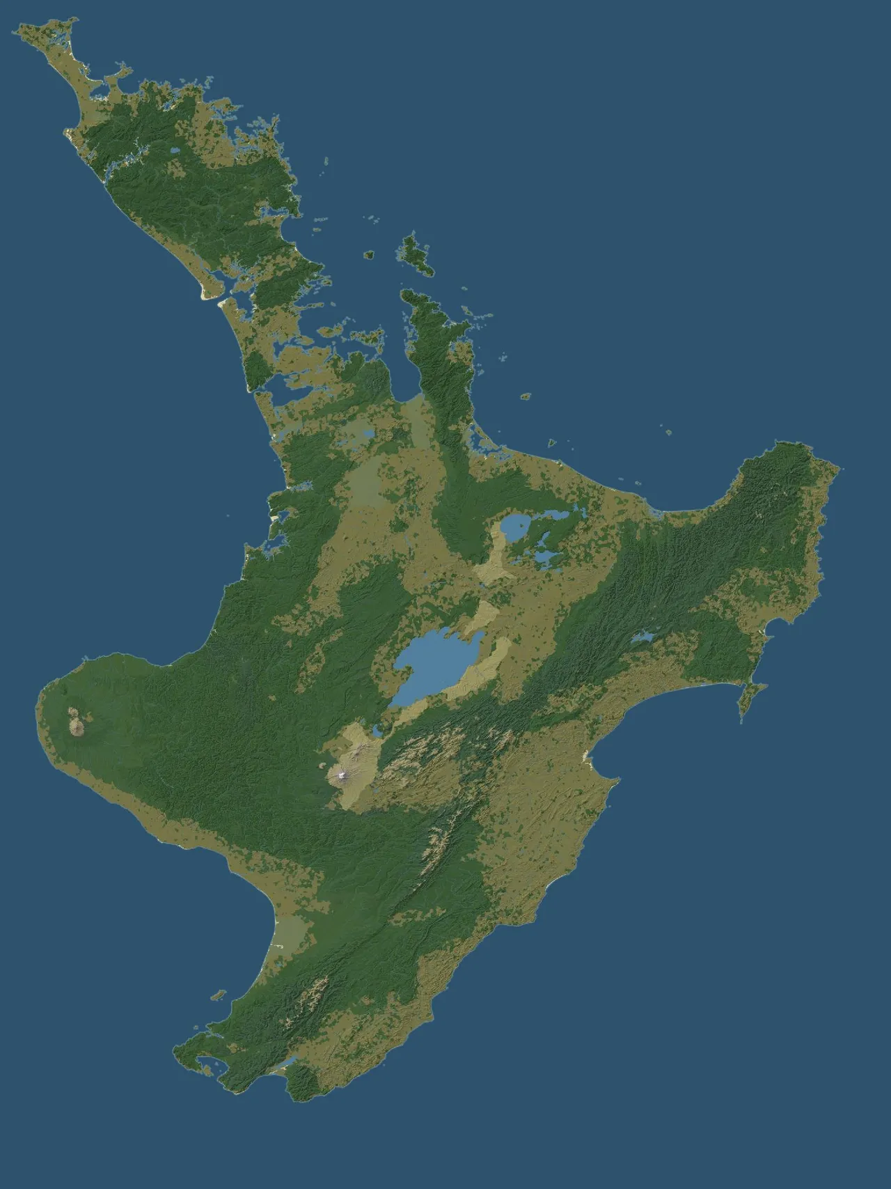 The base map of the North Island. Forest from Landcare's potential vegetation, cut back to the cover around 1840, with relief from the LINZ contours.